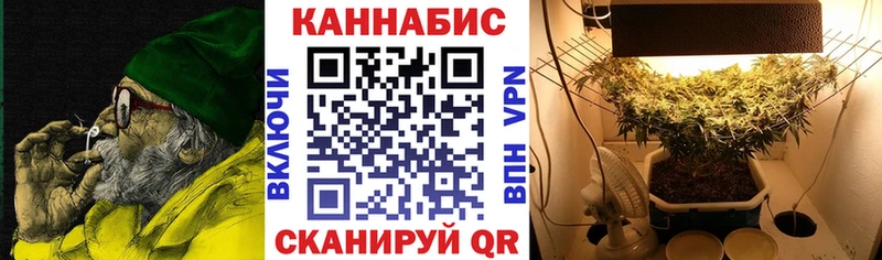 Шишки марихуана MAZAR  MEGA онион  Карабаново 